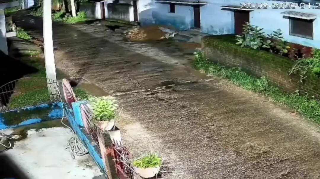 पेटरवार: चलकरी में ग्रामीणों की सतर्कता से मवेशी लदा वैगनआर पकड़ा गया