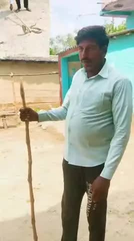 परिहार: नोनाही में फन फैलाए 'काला मेहमान' निकलने से खलबली, सपेरे ने पकड़ा और सरेह में छोड़ा