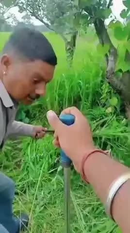 सिवनी: खेत में दिखा 10 फीट लंबा विशालकाय अजगर, सर्प मित्र प्रवीण तिवारी ने सुरक्षित रेस्क्यू किया
