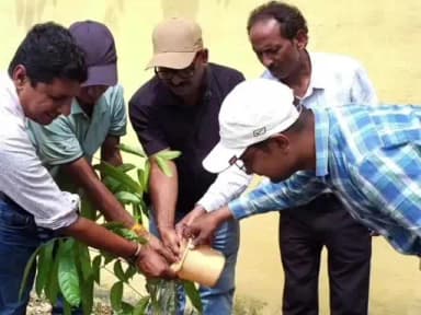 पूर्णिया पूर्व: पूर्णिया में पर्यावरण संरक्षण को बढ़ावा देने के उद्देश्य से जिला पदाधिकारी ने मीडिया प्रतिनिधियों को पौधे भेंट किए