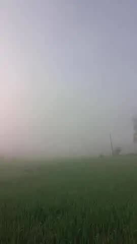 बारिश नहीं होने केकरण आदमी परेशान नहींहुआ है50% धान की बुवाई