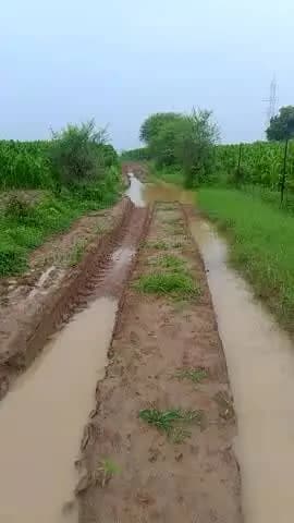 जिला अशोकनगर तहसील ईसागढ़ गांव सिरनी में बंजारी माता पर जाने बाला रास्ता बहुत खराब है जिस कोई ध्यान नहीं दे रहा है