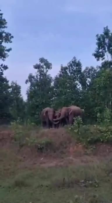 সোনামুখী: বাঁকুড়া জেলায় ১৪টি হাতির নিরাপত্তা সতর্কতা জারি, কোন কোন এলাকায়?