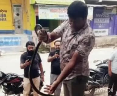 मांगरौल: बोहत कस्बे में घोड़ा पछाड़ प्रजाति के 7 फीट लंबे सांप का रेस्क्यू कर जंगल में छोड़ा, मुंह से निकला चमगादड़
