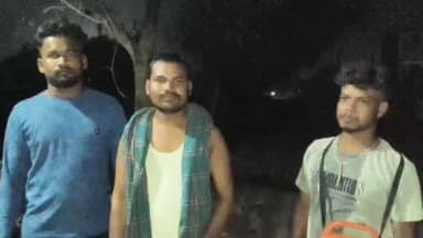 ଅନୁଗୋଳ: ସରଧାପୁର ଗ୍ରାମରେ ହାତୀ ପଲ; ପ୍ରତିକ୍ରିୟା ରଖିଲେ ଶିବୁ ନାଏକ
