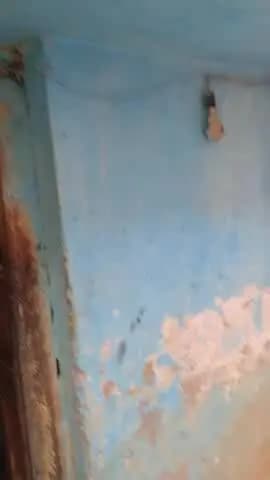 Padma prakhand gram adar
parbha masomat ka Aisa ek Ghar jimsme Insan to kya Janwar bhi koi rakhna pasand na Karen kyun