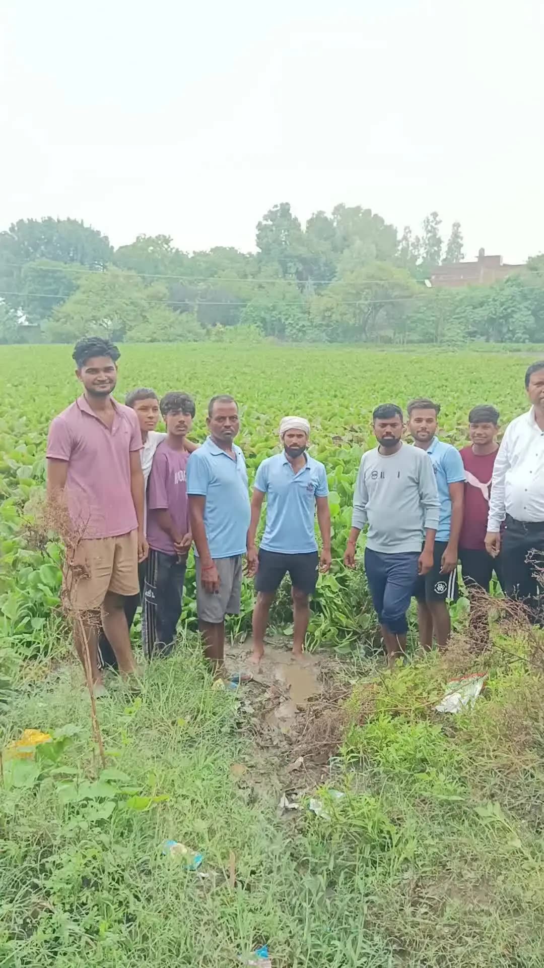 भर्थना ब्लॉक के गाँव बिरारी में तालाब जलमंझनी में तब्दील, गंदगी, बदबू से ग्रामीण परेशान