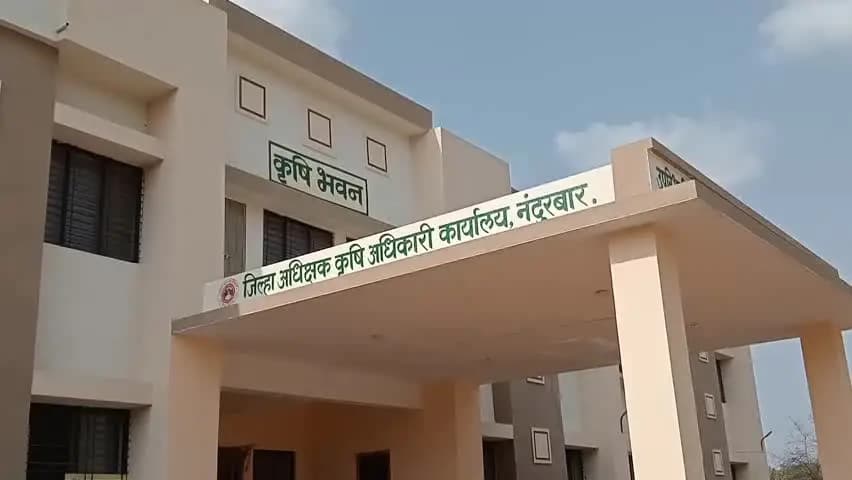नंदुरबार: प्रधानमंत्री पिक विमा योजना कर्जदार शेतकऱ्यांसाठी ३१ ऑगस्टपर्यंत मुदतवाढ