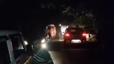 আলিপুরদুয়ার ২: জোড়াকুয়া থেকে পুর্ণ বয়স্ক গোখরো উদ্ধার