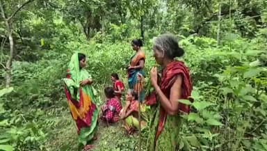 ସୋରଡା: ସାପଡିହ ଗାଁ ରେ ଅଭାବନୀୟ ଘଟଣା, ଜଗଂଲ ମାଟିତଳୁ ମିଳିଲା ମହିଳାଙ୍କ ମୃତହେହ