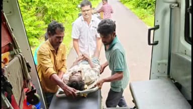 వాజేడు: అడవిలో వాహనం బోల్తా.. వ్యక్తికి తీవ్రగాయాలు