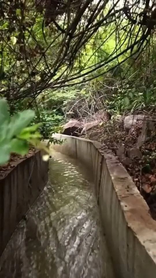 विकासखंड के ग्राम छुईहा में विकसित भारत जी राम जी योजना के तहत सिंचाई नाली का निर्माण कराया गया। नाली बनने से किसानों के खेतों तक सिंचाई का पानी पहुंच रहा है, वहीं निर्माण कार्य से ग्रामीणों को गांव में ही रोजगार मिला है। योजना से किसानों और ग्रामीणों दोनों को लाभ मिल रहा है।
#vb_ji_ram_ji
#sarangarhdistrict
#chhattisgarh
@indiaruraldev
@vijaysharmacg
@chouhanshivrajsingh
@vishnudeosai
@chhattisgarhcmo
@dpr.chhattisgarh