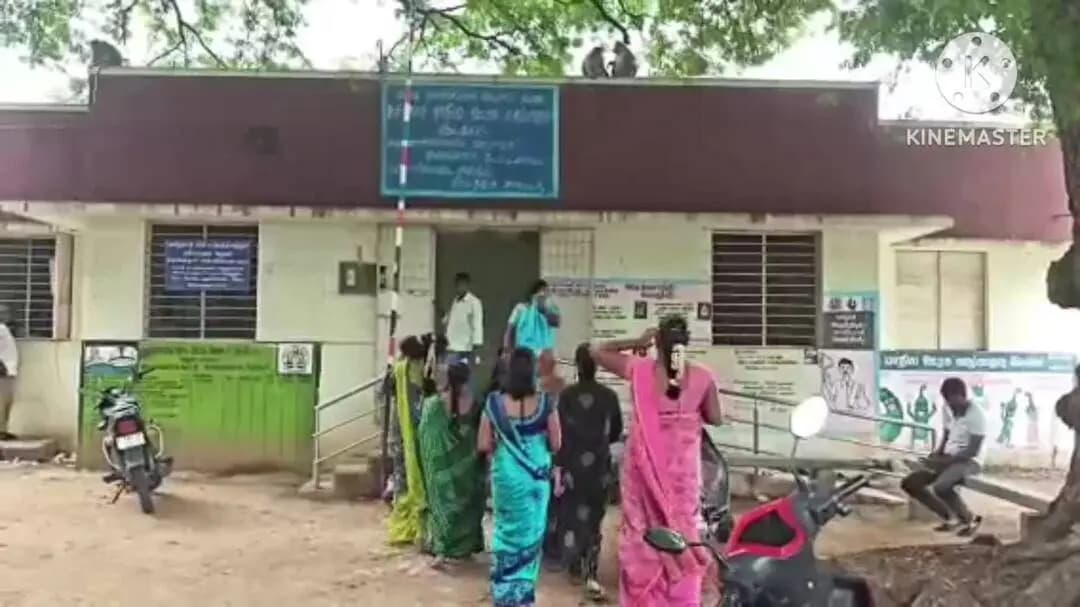 நாட்றாம்பள்ளி: புதுப்பேட்டை சந்தை மைதானத்தில் குரங்குகள் அட்டகாசம் பொதுமக்கள் அச்சம் வீடியோ வைரல்
