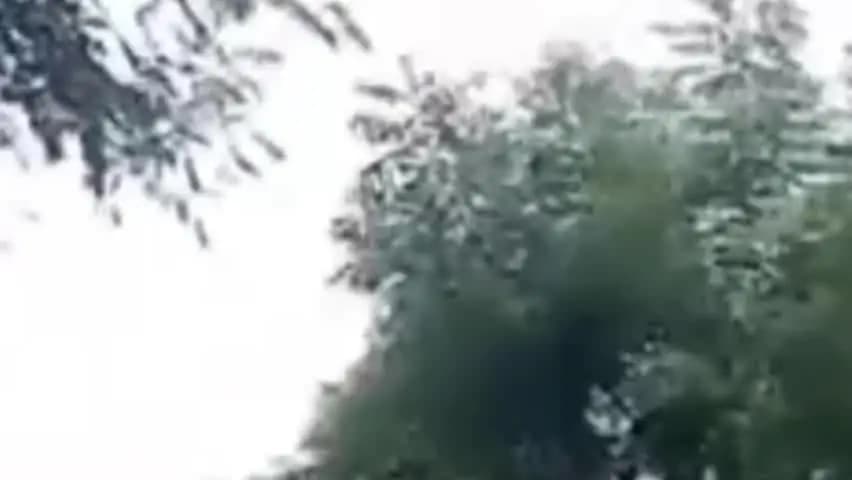 त्योंथर: एम्बुलेंस नहीं पहुंची तो ग्रामीणों ने उठाई खाट, उफनते पानी के बीच जान जोखिम में डालकर गर्भवती को पहुंचाया अस्पताल