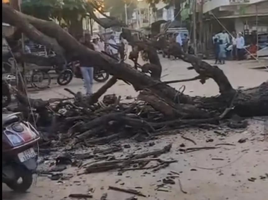 भावरा: चंद्रशेखर आजाद कुटिया मार्ग पर गिरा पुराना पेड़, बिजली गुल और स्कूटी क्षतिग्रस्त