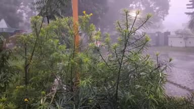 देहरादून: उत्तराखंड में बारिश का कहर, 9 जिलों में भारी बारिश का अलर्ट, लगातार बारिश से 85 सड़कें बंद