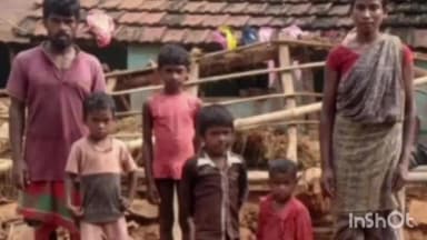 मसलिया: मसलिया के सीतासाल में बारिश में मिट्टी का घर गिरा, 8 सुअरों की मौत