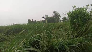 मिश्रिख: बारिश और तेज हवाओं से कहीं लाभ तो कहीं नुकसान की खबर