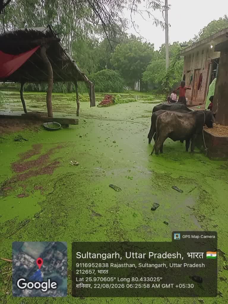 @ग्रामीणों की व्यवस्था बहाल करने हेतु अनुरोध किया जा रहा है जिसकी जल निकासी हो सके सरकार से निवेदन हैं कि सुल्तानगढ़।