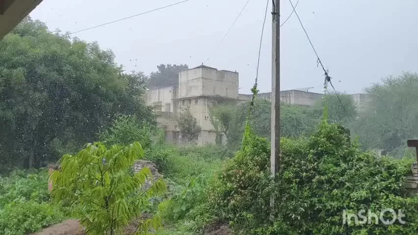 कोटपूतली: कोटपूतली में शनिवार को बारिश का येलो अलर्ट, सतर्क रहने की दी गई सलाह