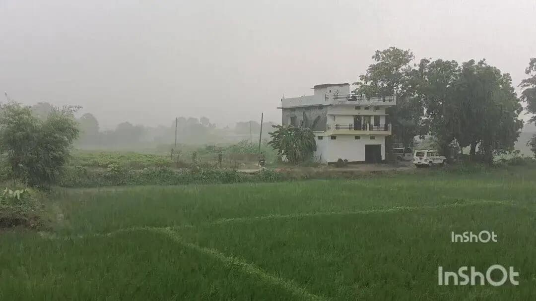 बलिया: बलिया में अचानक झमाझम बारिश से मौसम हुआ सुहाना, उमस भरी गर्मी से मिली राहत