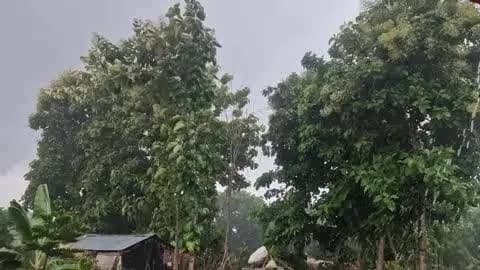 गोंडा: गोंडा सहित यूपी के कई जिलों में तेज हवा के साथ बारिश का जारी हुआ अलर्ट, जिले में हो रही है झमाझम बारिश