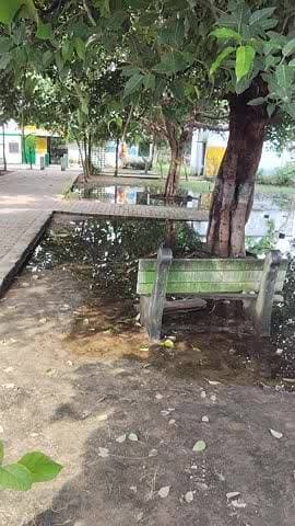 chauganpur प्राथमिक विद्यालय मैं गांव का गंदा भरा रहता डेंगू जैसी बीमारियां होने का खतरा है बच्चों को