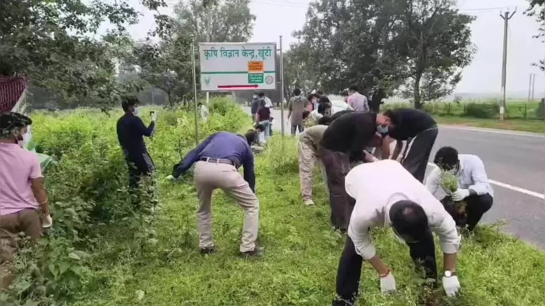 खूंटी: कृषि विज्ञान केंद्र खूंटी द्वारा चलाया गया गाजरघास जागरूकता सप्ताह अभियान