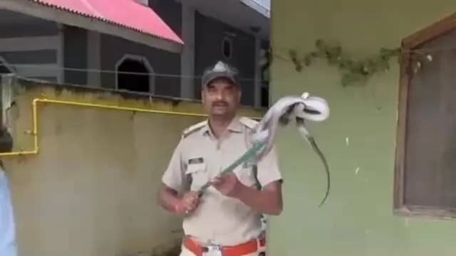 गोपद बनास: जिले के अर्जुन नगर में एक मकान में घुसा कोबरा सांप, वन विभाग की टीम ने पकड़ा