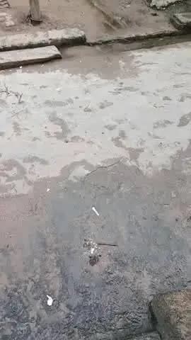 Sarkar se nivedan hai ki iski jald se jald sunvaee ki jaaye