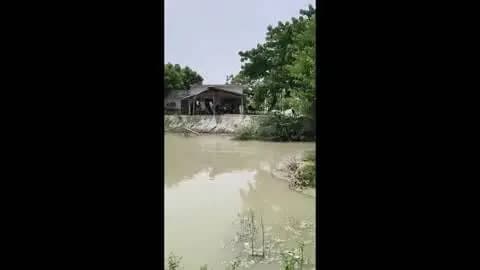 तरबगंज: डैमवाघाट पुलिस चौकी भी बाढ़ की जद में, चौकी के किनारे-किनारे भरा है बाढ़ का पानी