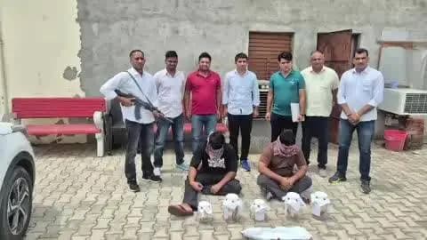 रोहतक: रोहतक पुलिस ने सापला के पास से दो युवकों को भारी मात्रा में अवैध हथियार के साथ किया गिरफ्तार