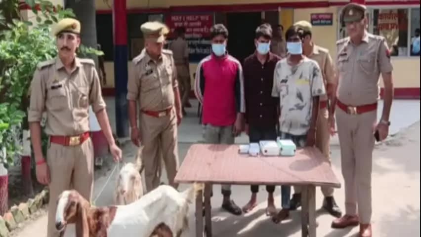 अतरौली: पालीमुकीमपुर पुलिस की मुठभेड़ में तीन अभियुक्त गिरफ्तार, चोरी की दो बकरियां, कार और अवैध हथियार बरामद