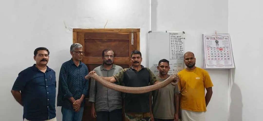 നെയ്യാറ്റിൻക്കര: നെയ്യാറ്റിൻകര: വിൽപ്പനയ്ക്കായി കൊണ്ടുവന്ന ഇരുതലമൂരി പിടിയിൽ, 4 പേർ അറസ്റ്റിൽ