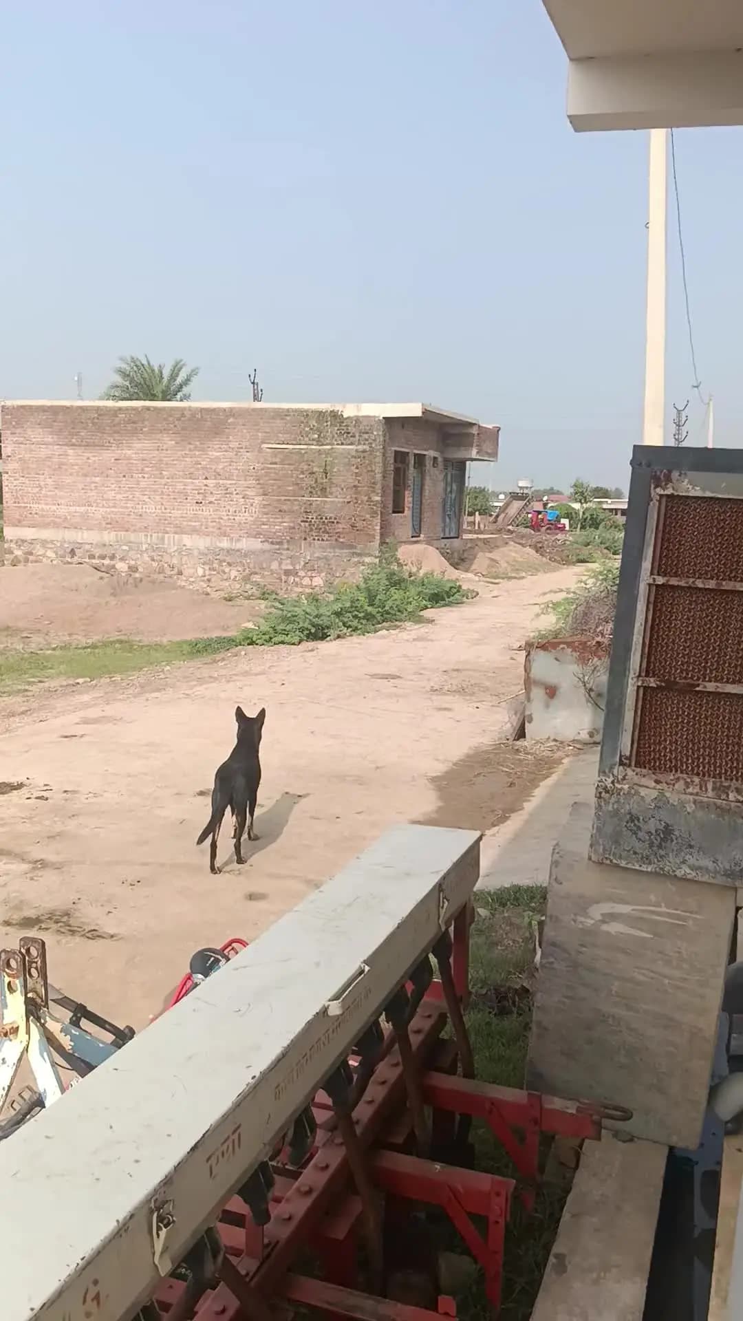 mangrol ke andar se kachra bahar bani bastiyo me kachra dala ja raha h es se aam janta ko bahut pareshaniyo ka shamna ka