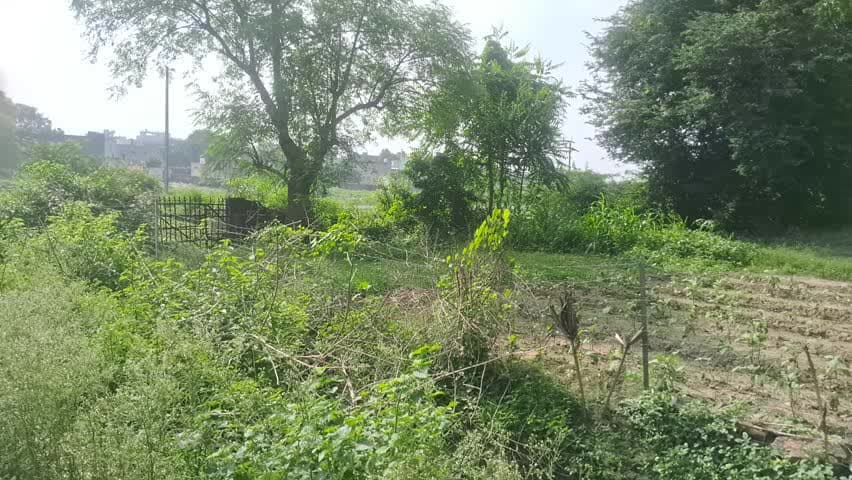 तापमान बढ़ने से आम जन जीवन हूवा प्रभावित