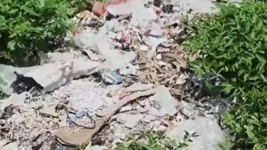 सत्तर कटैया: पंचगछिया स्टेशन पर गंदगी से यात्री परेशान, परिसर में जगह-जगह कचरे के ढेर, दुर्गंध और जलभराव से बढ़ी परेशानी