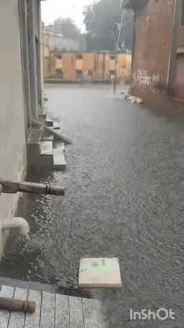 शिकारपुर: जरा सी बारिश से शिकारपुर नगर जलमग्न, राहगीरों और दुकानदारों की बढ़ी मुसीबतें