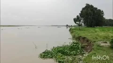 बिंदकी: अभयपुर के समीप गंगा नदी का जलस्तर खतरे के निशान से केवल 48 सेंटीमीटर नीचे, जलस्तर बढ़ने से कटान जारी, फसलें डूब रही