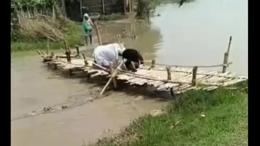 नौहट्टा: कोसी में जलस्तर बढ़ा, डरहार पंचायत में चचरी पुल टूटा,बच्चों की पढ़ाई बाधित, ग्रामीणों को आवागमन में परेशानी