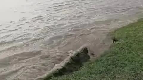 तरबगंज: घाघरा नदी के जलस्तर में कमी से कटान का खतरा बढ़ा, गांव से वापस नदी की तरफ़ जा रहा है बाढ़ का पानी