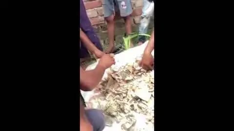 गोंडा: पति से छिपाकर महिला ने 8 साल में इकट्ठा किए 12 लाख रुपये, चूहे के नोट को कुतरकर कर दिए बर्बाद