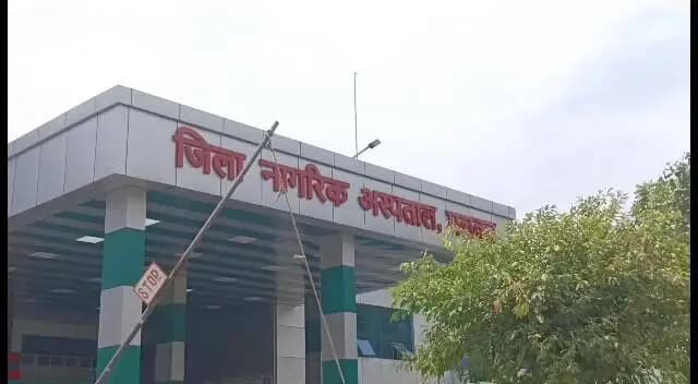 पलवल: पलवल में 19 साल के युवक ने थाने पर रखी देसी कट्टा, मां की हत्या का बदला लिया