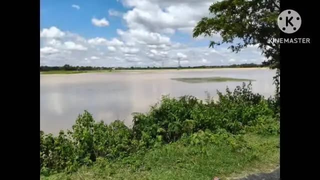 তেলিয়ামুড়া: গতকাল রাতে ভারি বর্ষণের ফলে তেঃমুড়ার খামারবাড়ি ও জগন্নাথবাড়ি এলাকার মানুষের বাড়ি-ঘরে জল ঢুকে,রাস্তা জলে ডুবে যায়