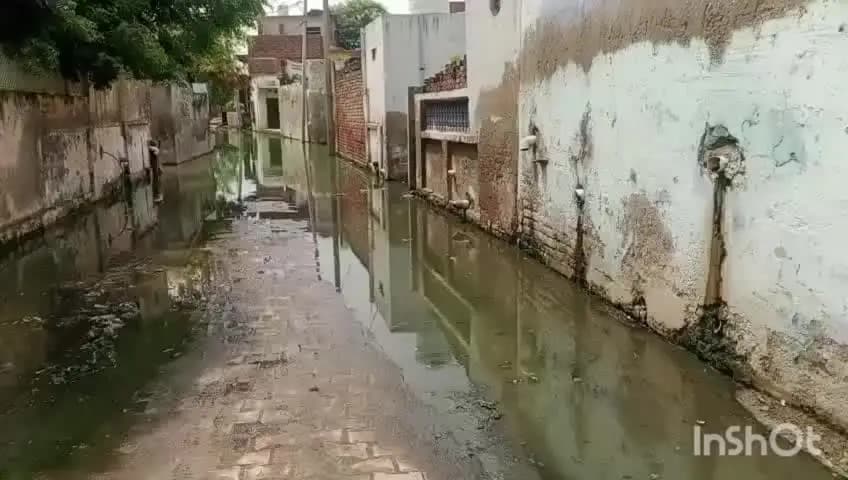 भरतपुर: हथेनी गांव में जलभराव का विधायक डॉ. सुभाष गर्ग ने लिया जायजा
