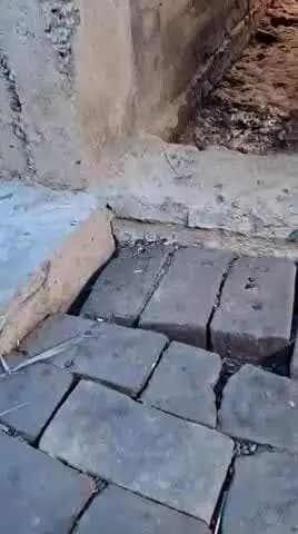 खैरा: खैरा प्रखंड क्षेत्र के चौहान डीह गाँव में लोग वेलपत्र खाकर रहते हैं