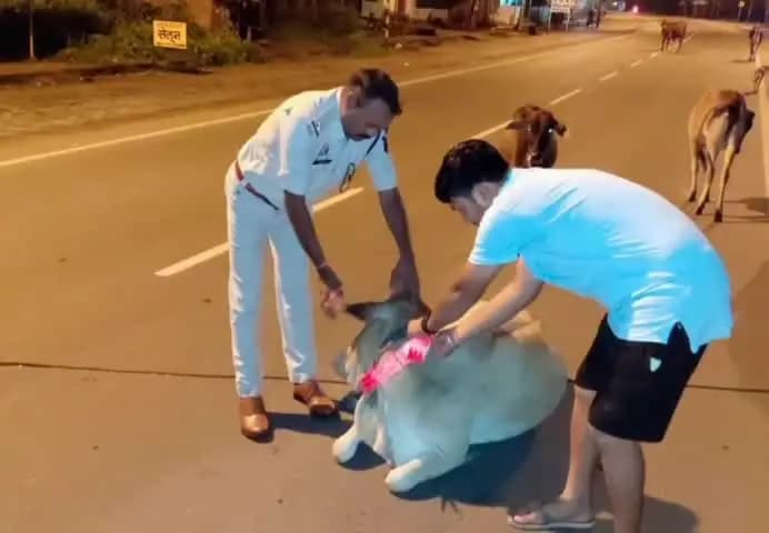 सहसपुर लोहारा: दशरंगपुर पुलिस ने सड़क हादसे रोकने के लिए मवेशियों के गले में बांधी रेडियम पट्टी