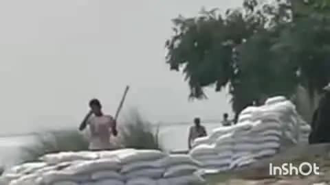बरियारपुर: गंगा के जल स्तर में भारी वृद्धि के बाद, वार्ड संख्या 6 में कटाव शुरू