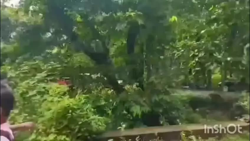 পলাশবাৰী: শ্বিলং কাণ্ডৰ প্ৰভাৱ পৰিছে ৰাণী বজাৰত,