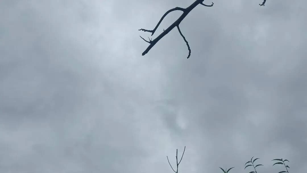 আমবাসা: ধলাই জেলার আকাশ মেঘাচ্ছন্ন বৃষ্টিপাতের সম্ভাবনা